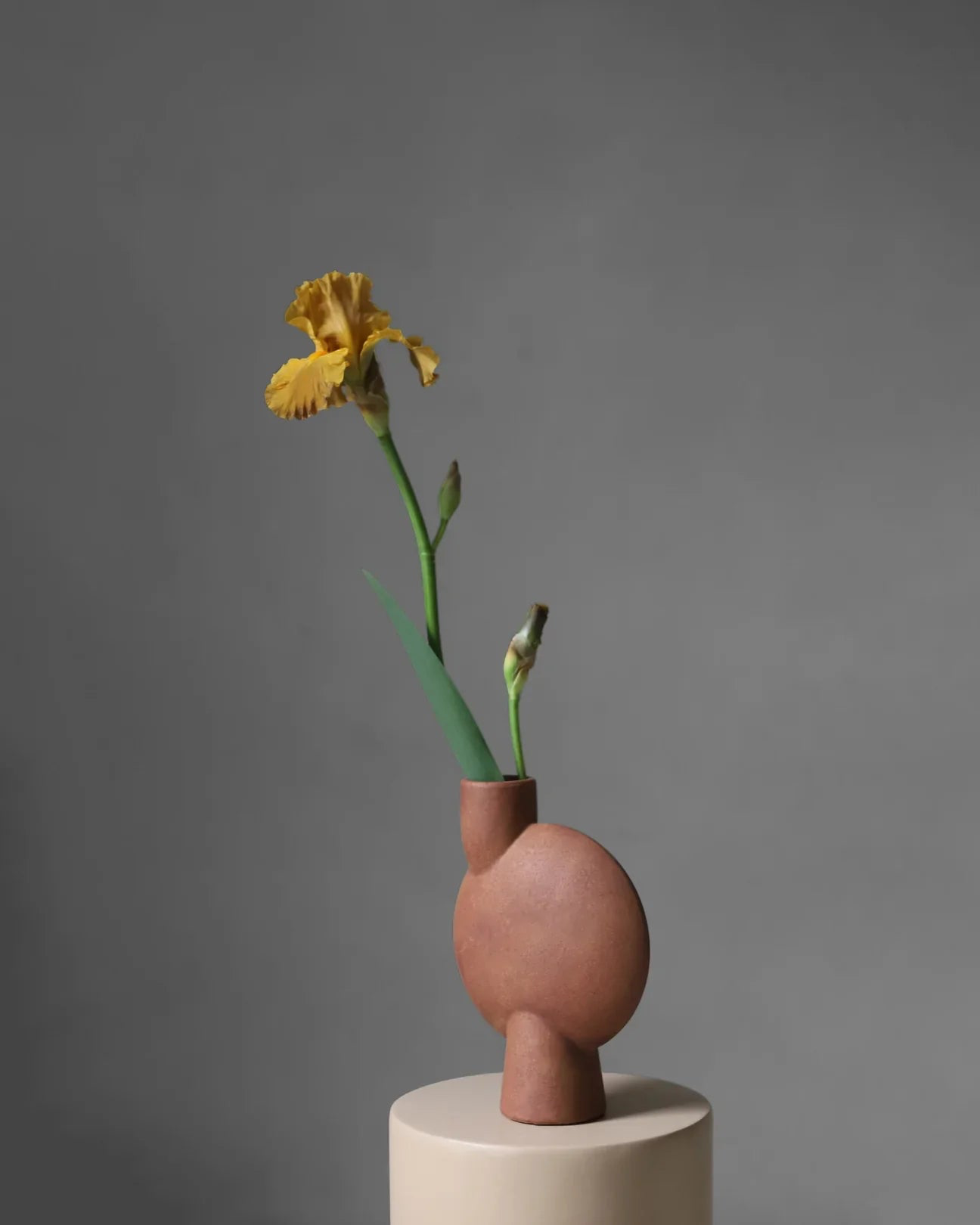 中型泡泡花瓶 赤紅色