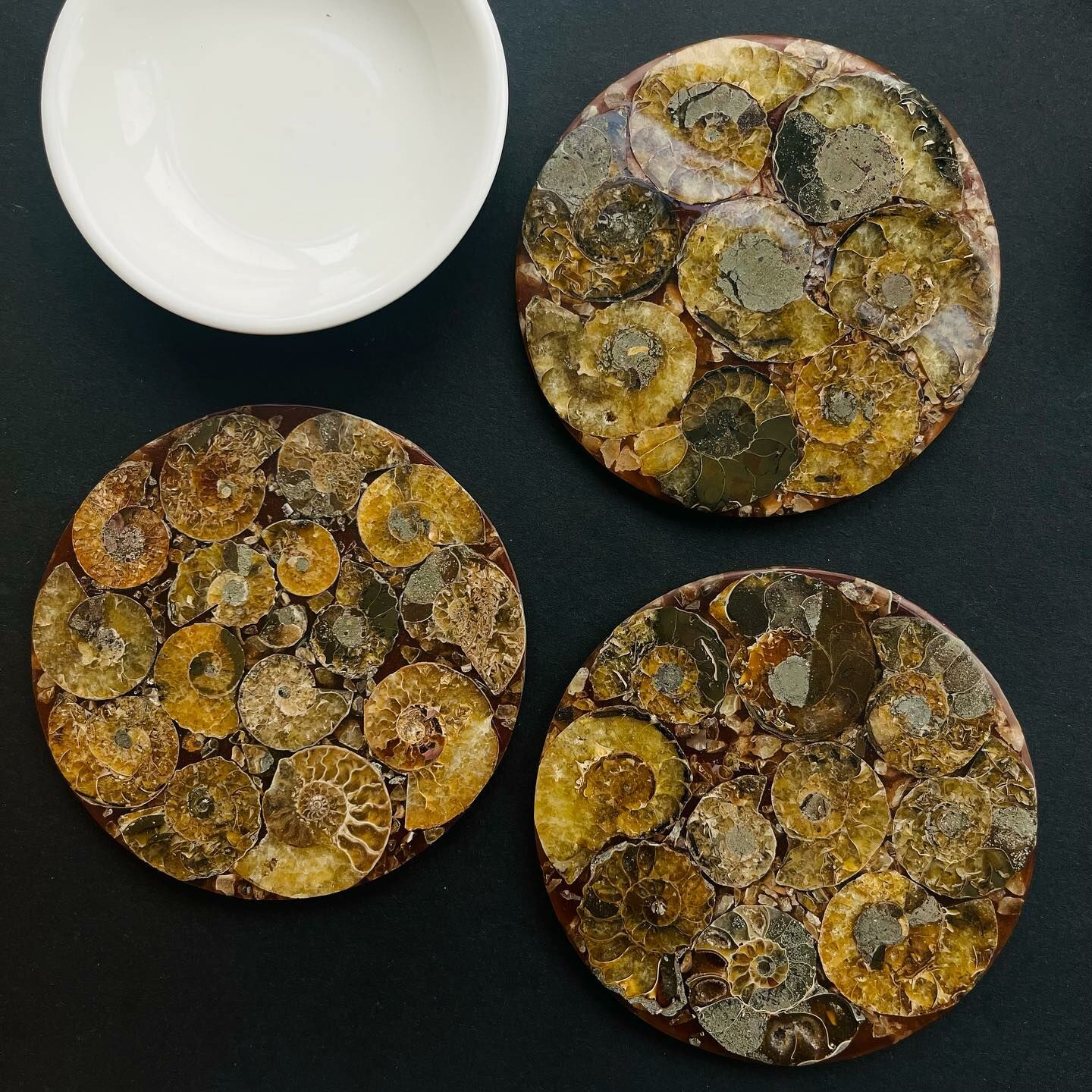 [原石] 斑彩螺化石 水晶擺件