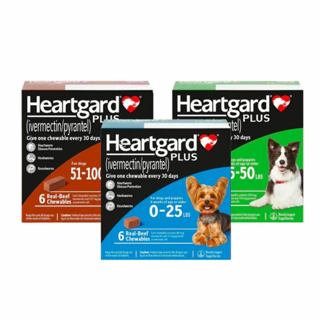 Heartgard Plus - 預防心絲蟲肉粒 (S/M/L) [平行進口］