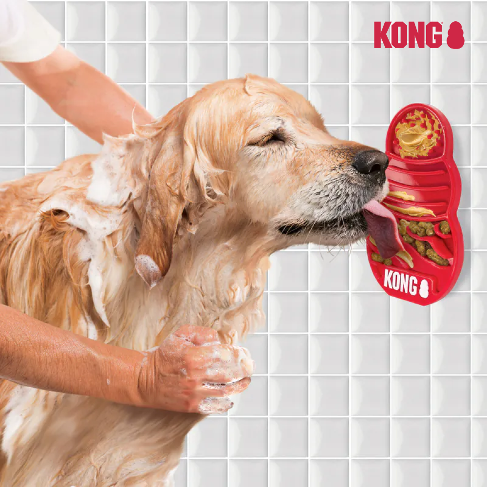 KONG｜多功能狗狗舔食慢食盤