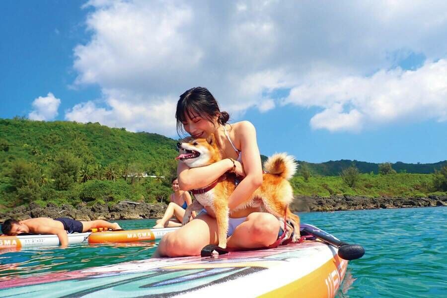 墾丁萬里桐 SUP立式划槳