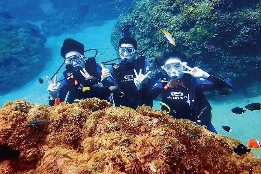 墾丁萬里桐 浮淺體驗