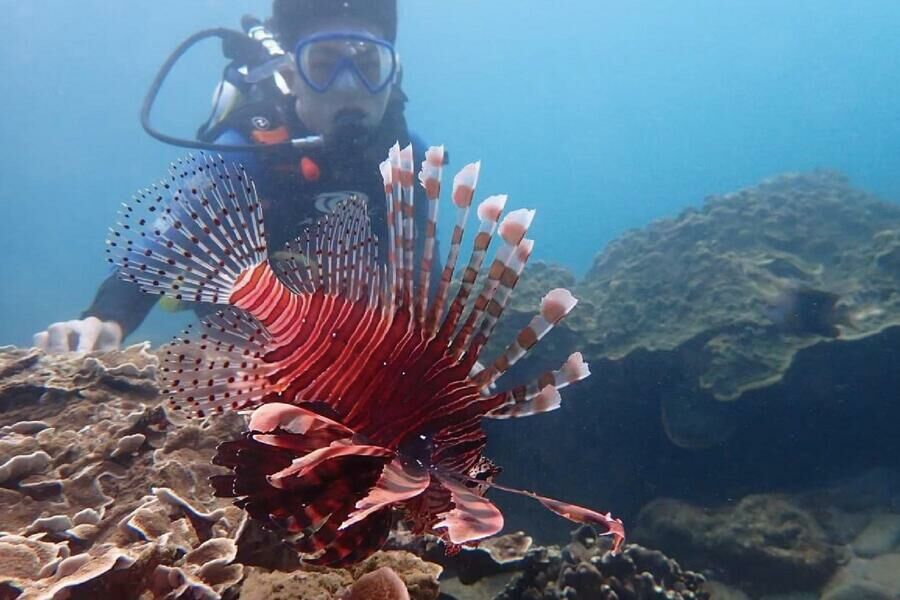 墾丁萬里桐 浮淺體驗