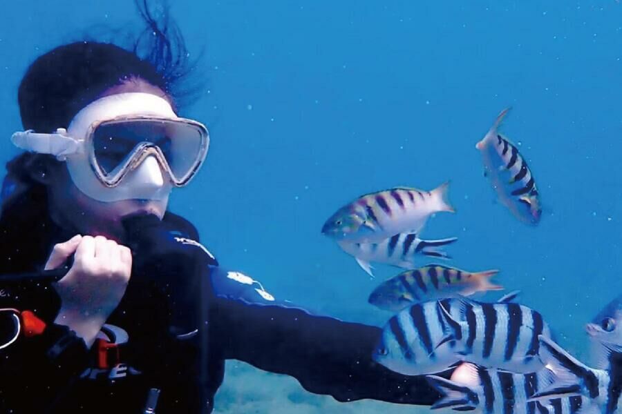 墾丁萬里桐 浮淺體驗