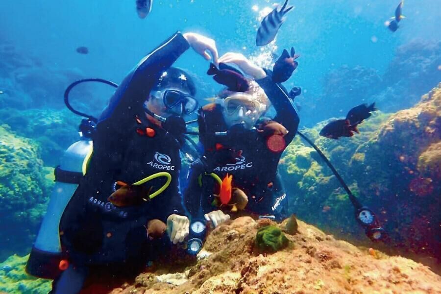 墾丁萬里桐 浮淺體驗