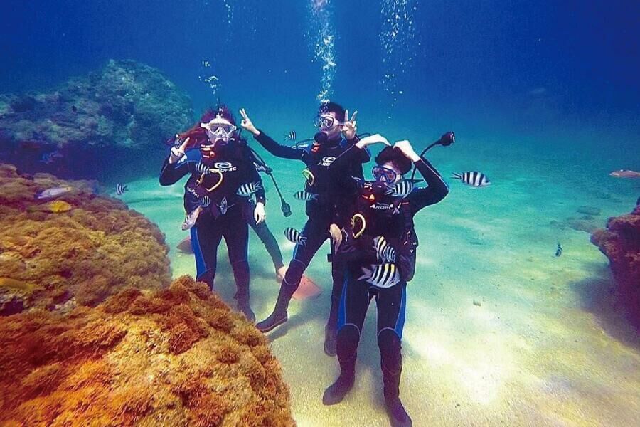 墾丁萬里桐 浮淺體驗