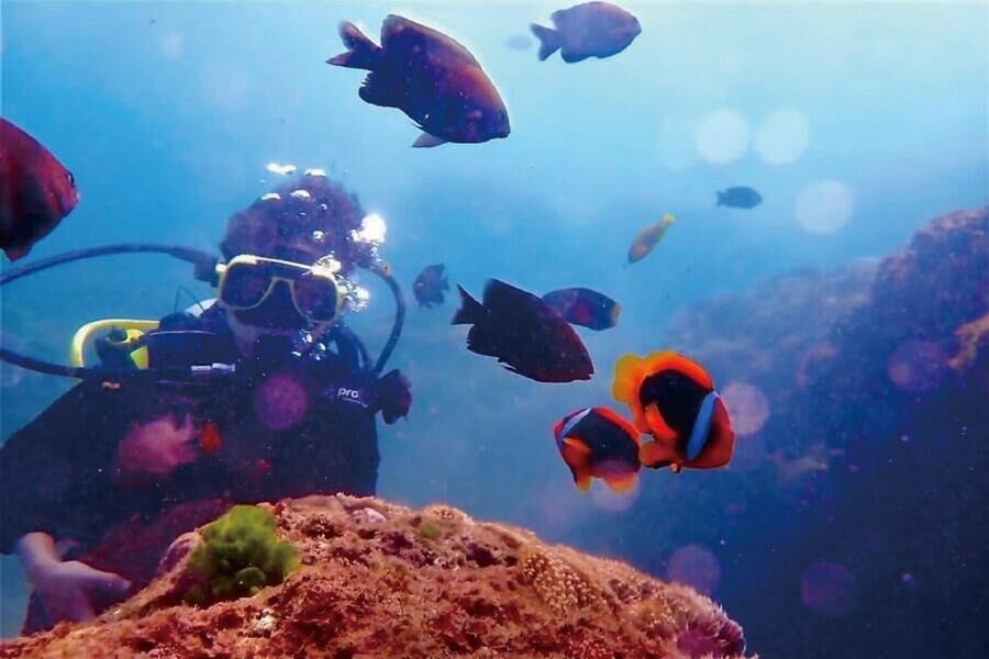 墾丁萬里桐 浮淺體驗