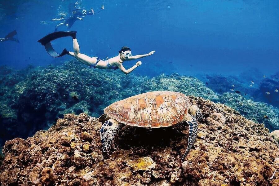 墾丁萬里桐 浮淺體驗