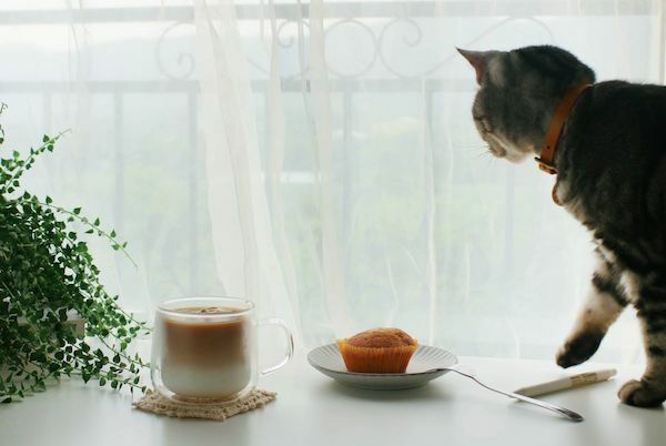 好玻雙層玻璃杯客製