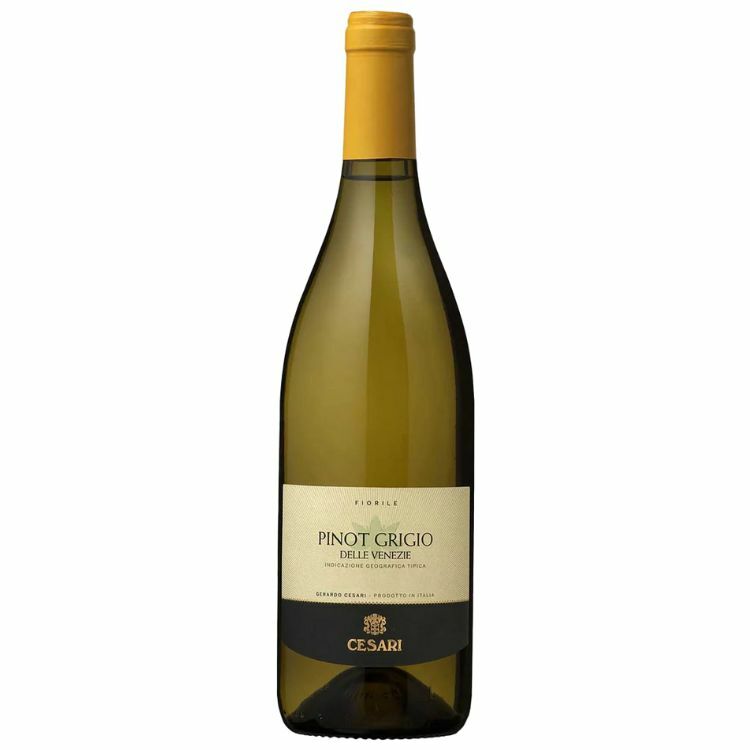 Cesari Fiorile Pinot Grigio 2022
