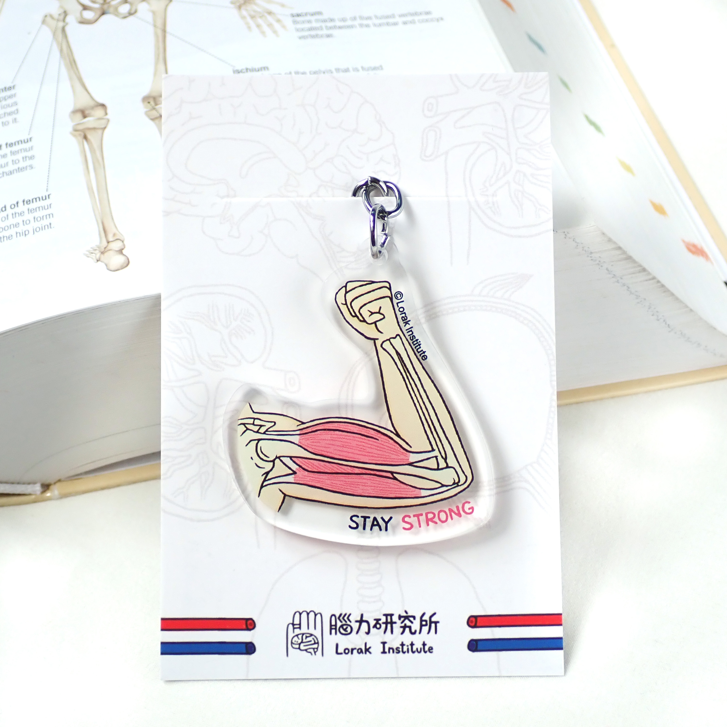 腦力研究所 撐住鎖匙扣