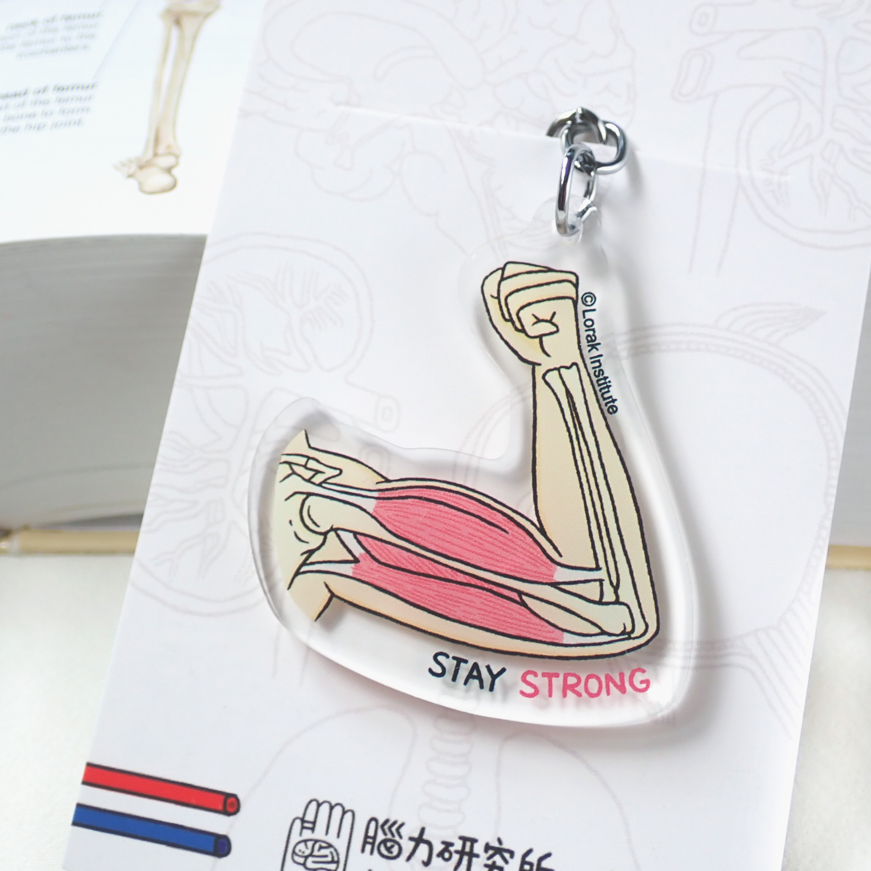 腦力研究所 撐住鎖匙扣