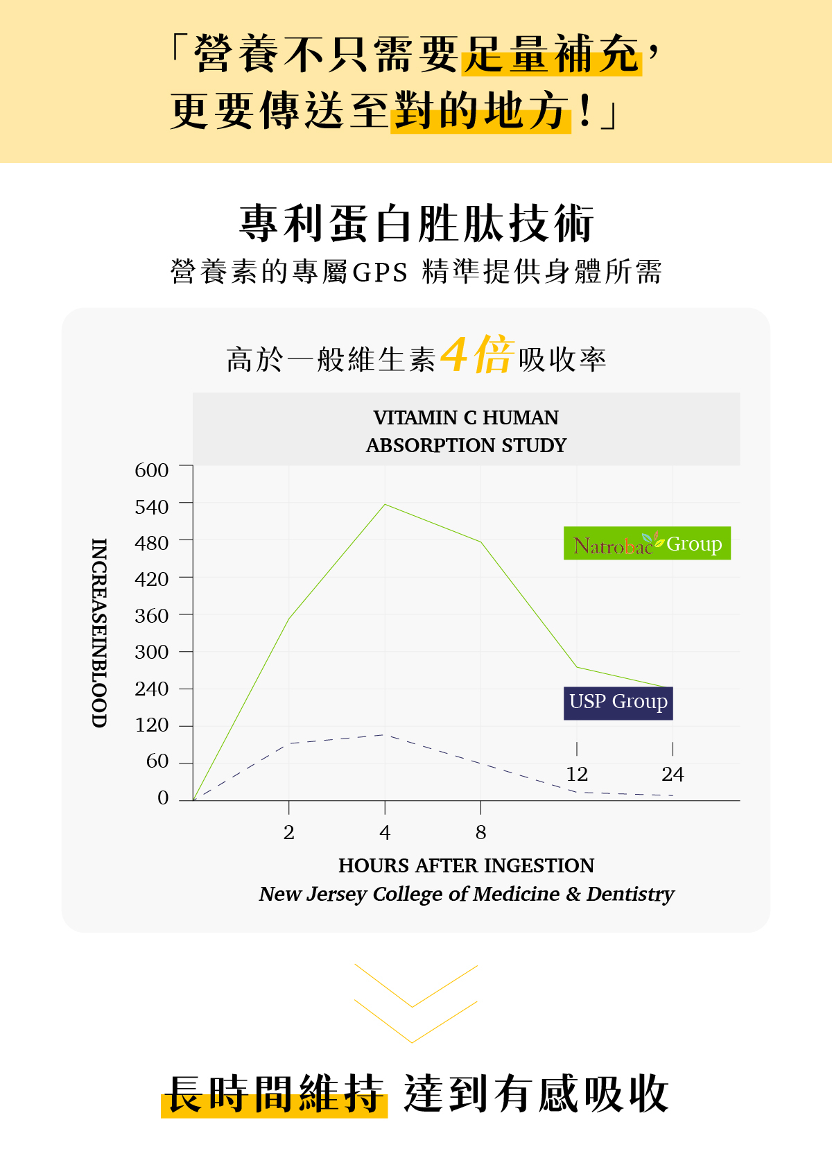 B群維他命 高於一般維生素4倍吸收率
