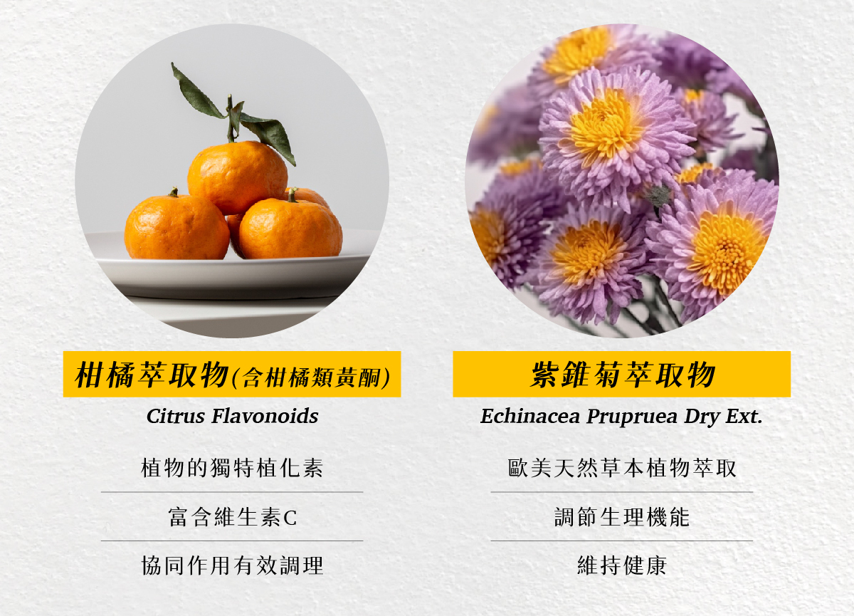 B群維他命 柑橘萃取物 紫錐菊萃取