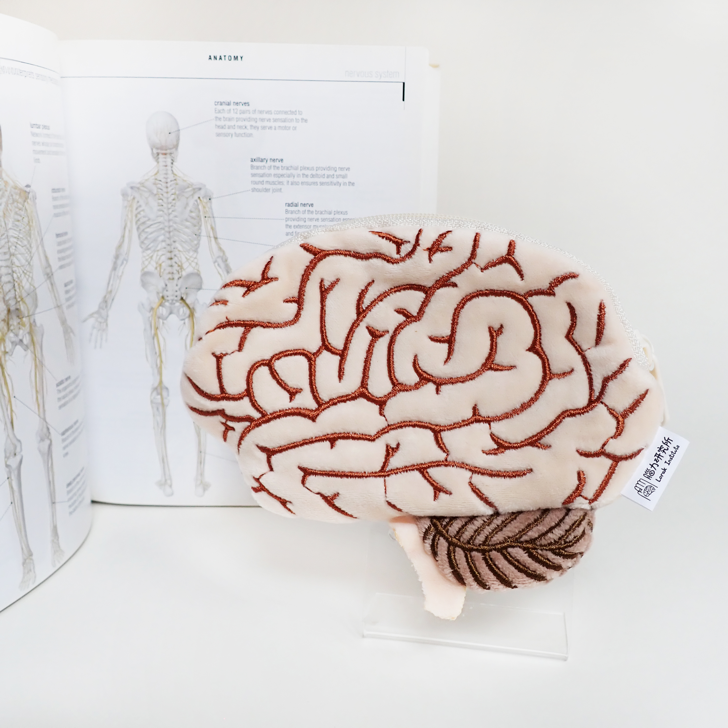 腦力研究所 大腦零錢包