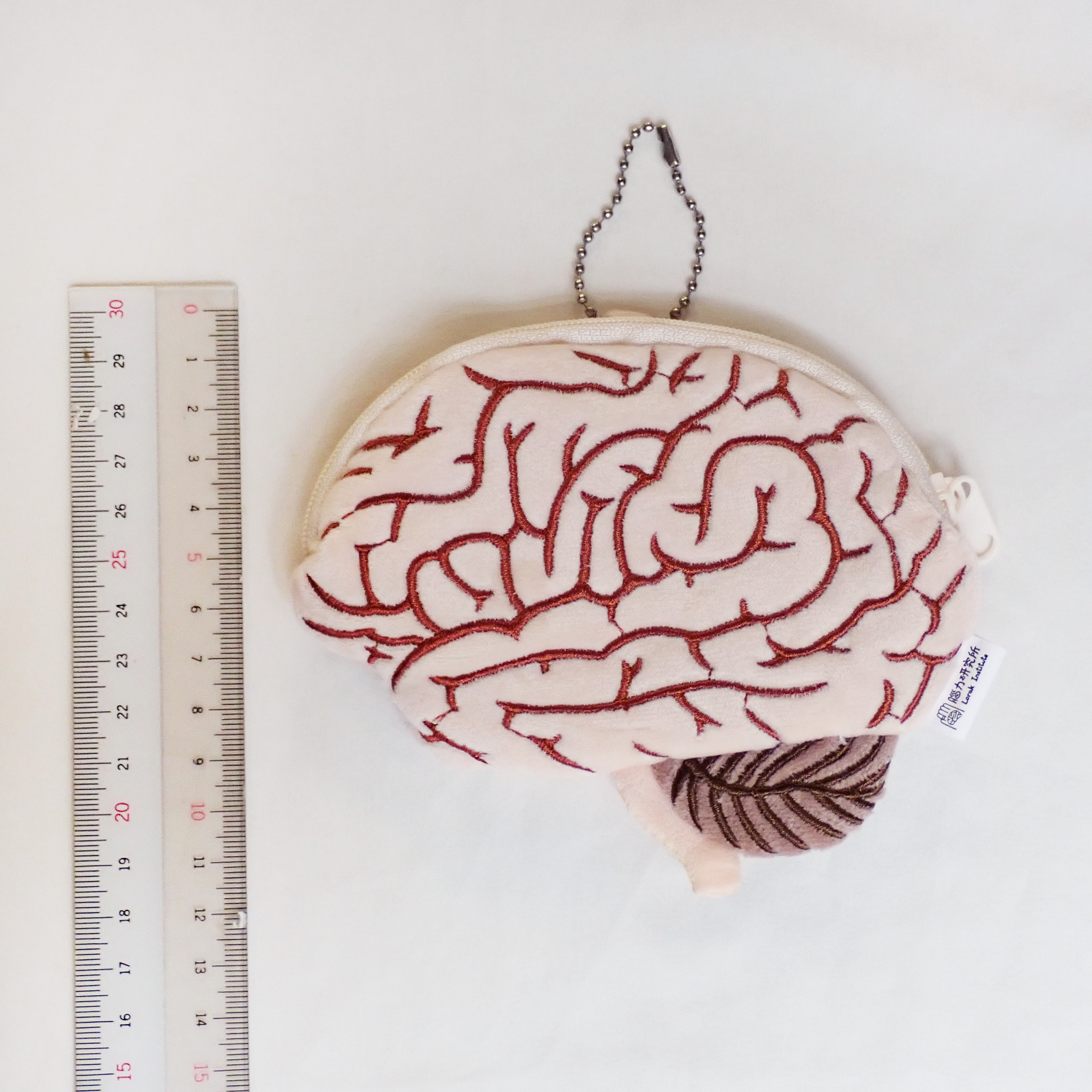 腦力研究所 大腦零錢包