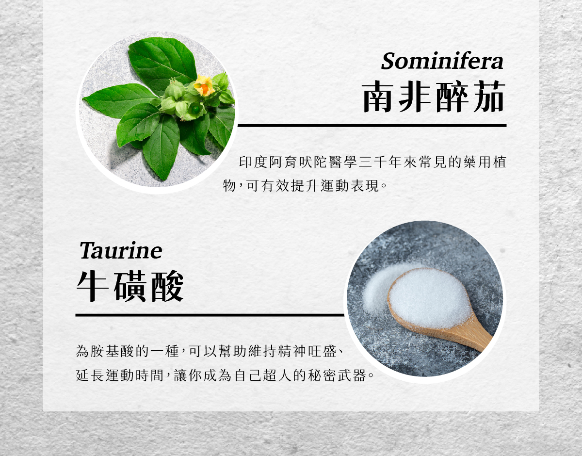 十倍濃縮瑪卡 南非醉茄 牛磺酸