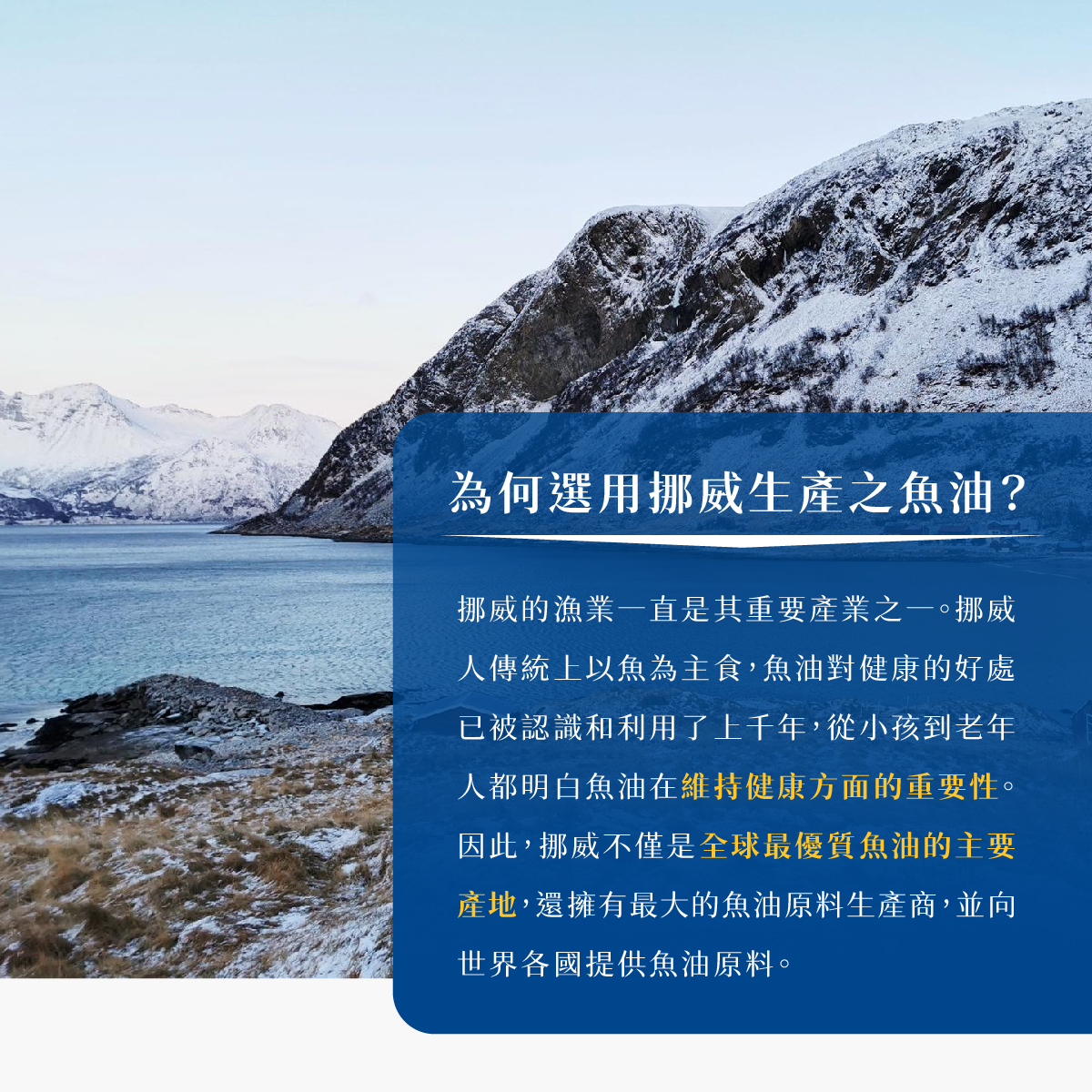高純度深海魚油 挪威魚油 維持健康