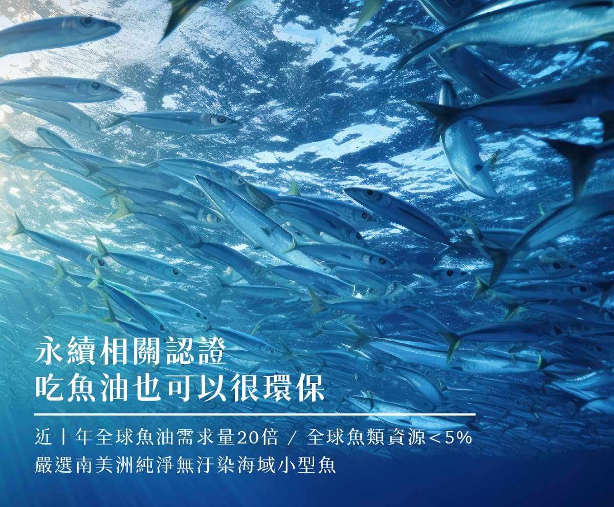 高純度深海魚油  海洋永續