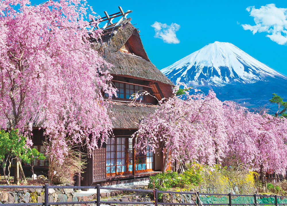 春天盛開的治癒之村