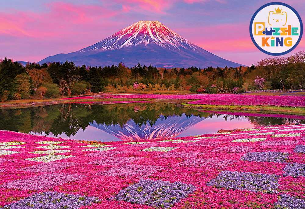 富士染在夕陽下