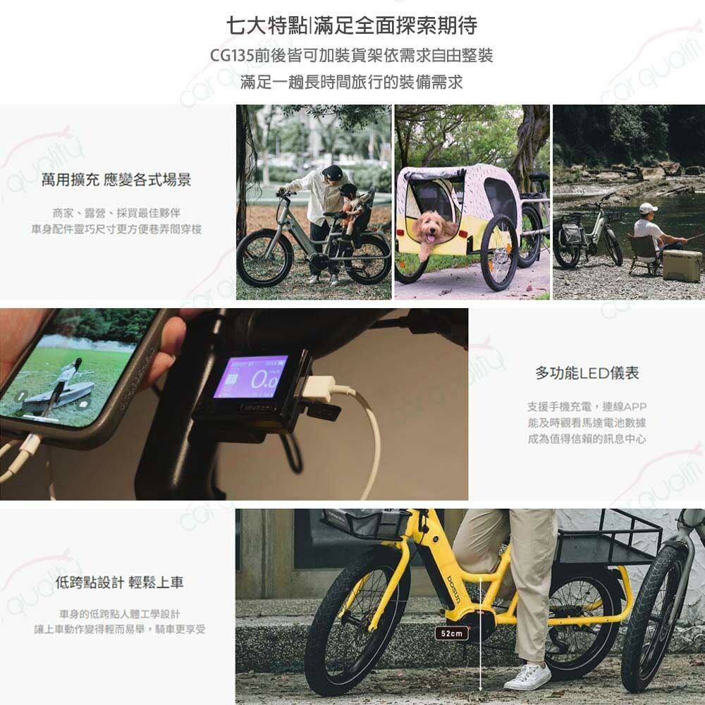 DOSUN CG135 CARGO 多功能親子電輔車/莫藍迪消光綠