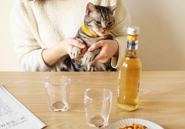 好玻啤酒杯客製