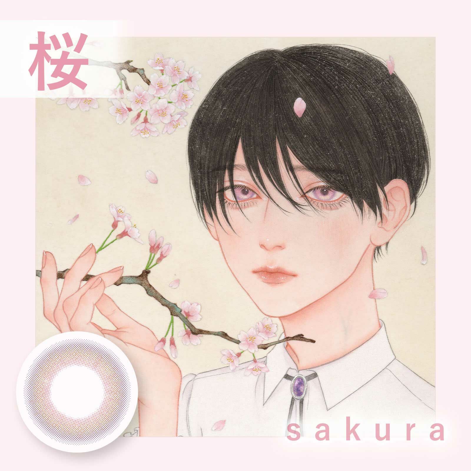 [月拋] Bishonenga hanairo 1 Month 桜 Sakura 隱形眼鏡｜每盒2片