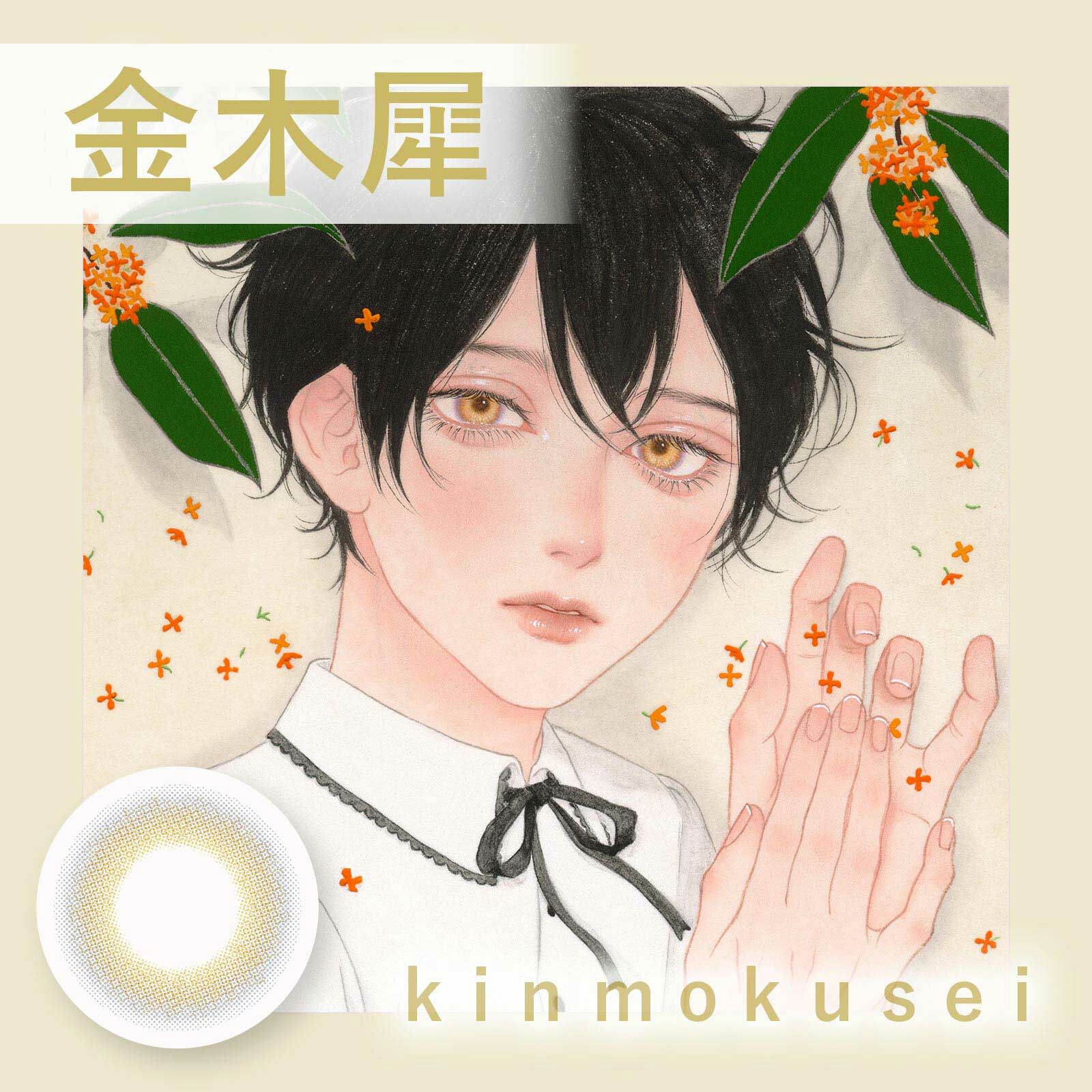 [月拋] Bishonenga hanairo 1 Month 金木犀 kinmokusei 隱形眼鏡｜每盒2片