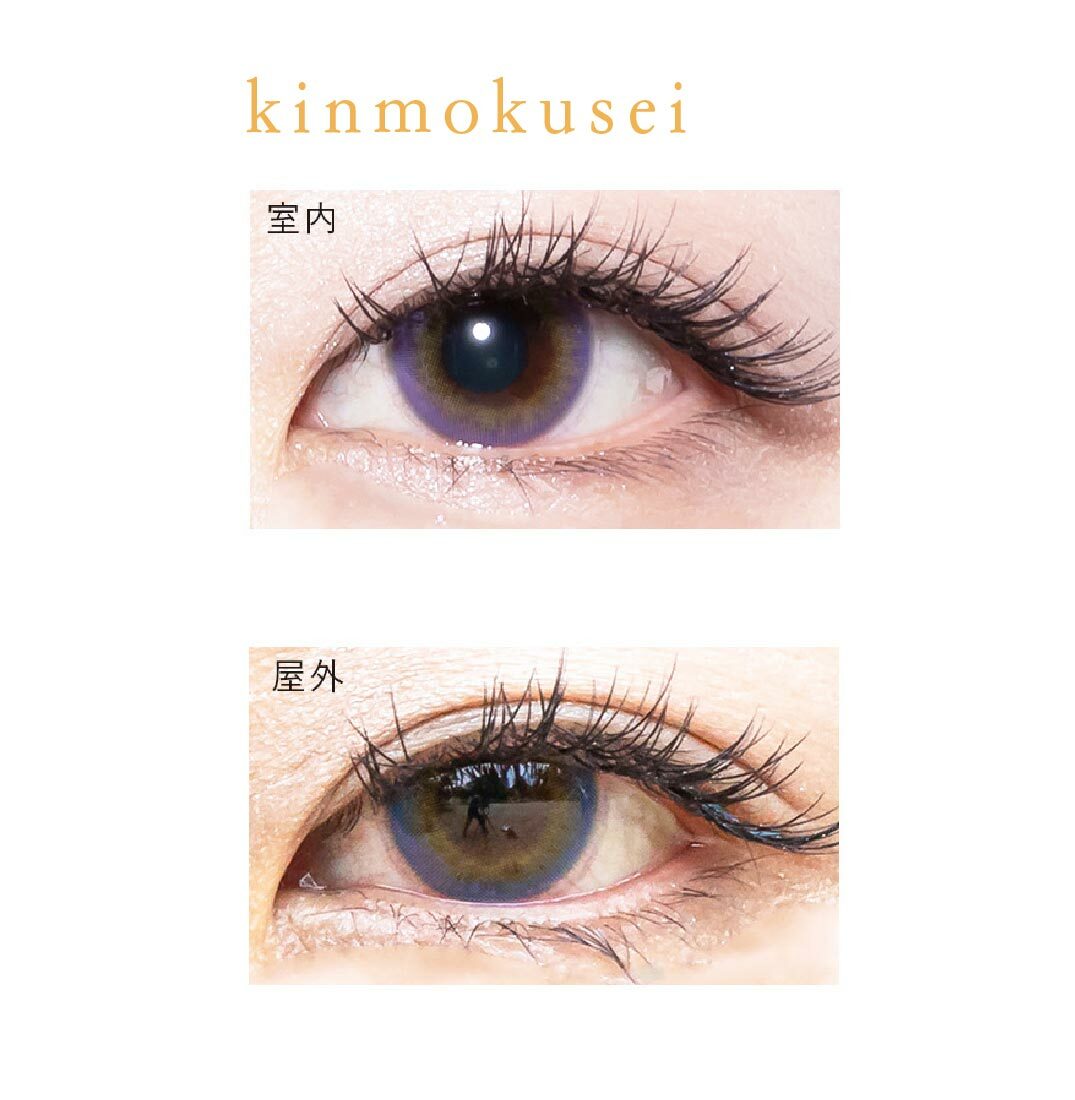 [月拋] Bishonenga hanairo 1 Month 金木犀 kinmokusei 隱形眼鏡｜每盒2片