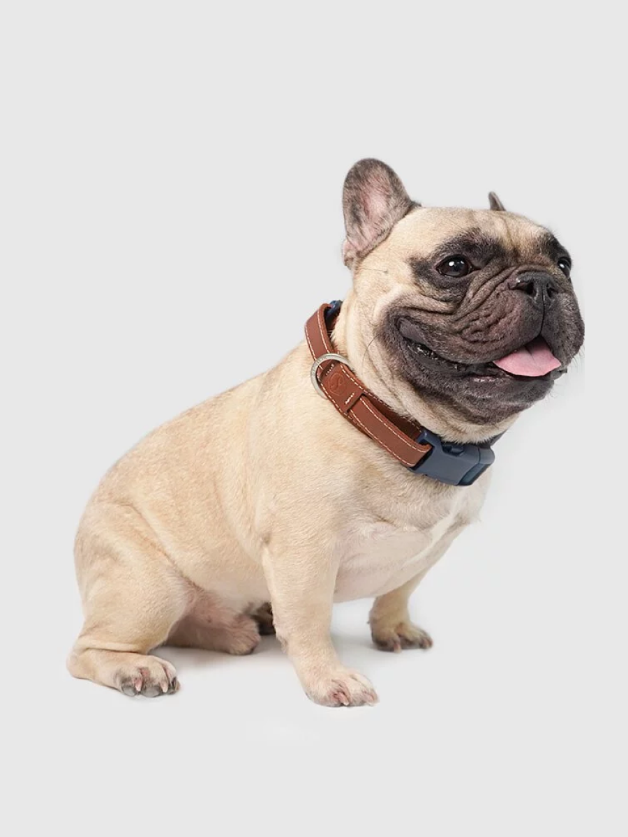 【SPUTNIK】EXPLORE 寵物項圈｜藍