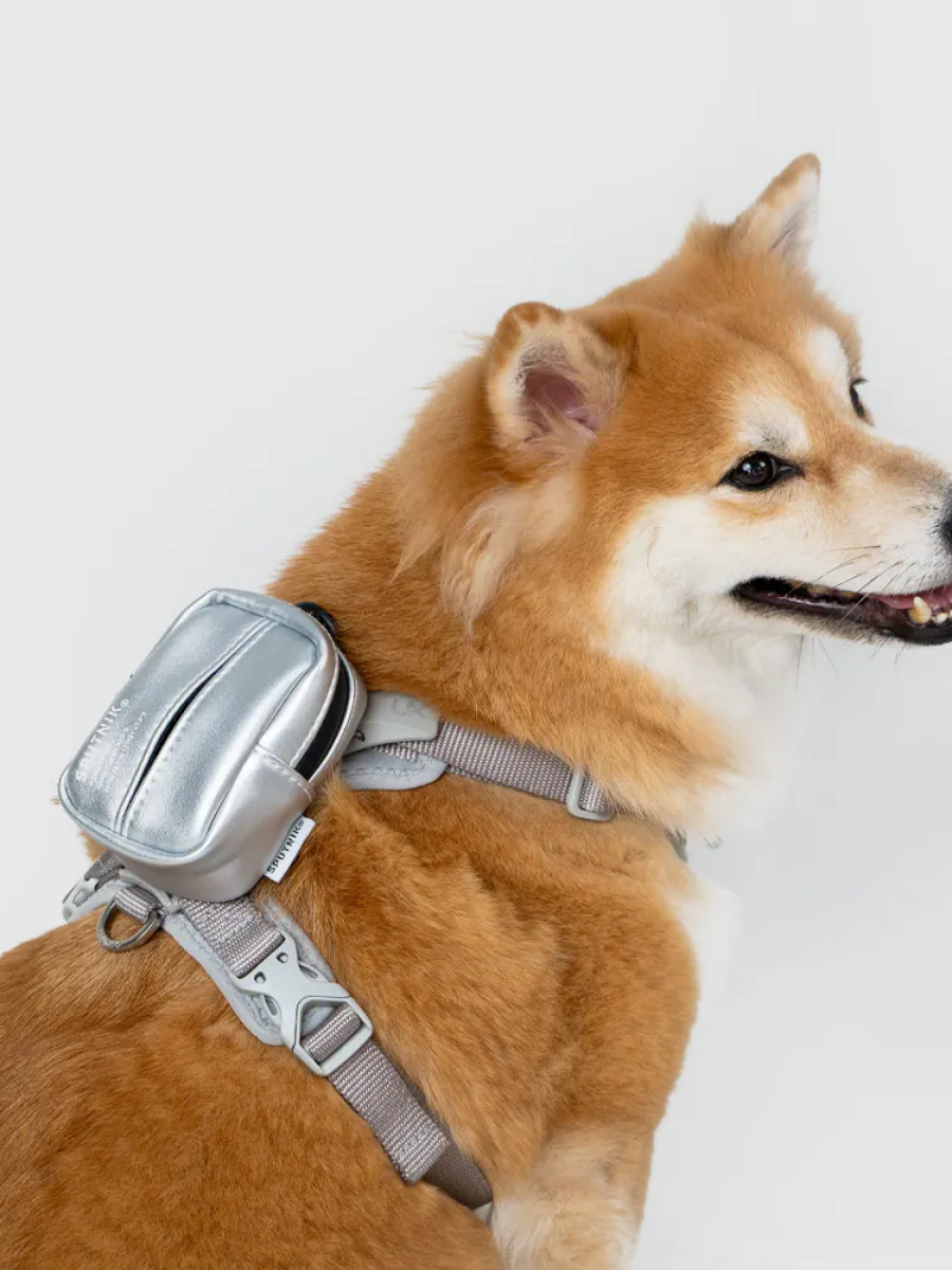 【SPUTNIK】EXPLORE｜拾便小包 銀