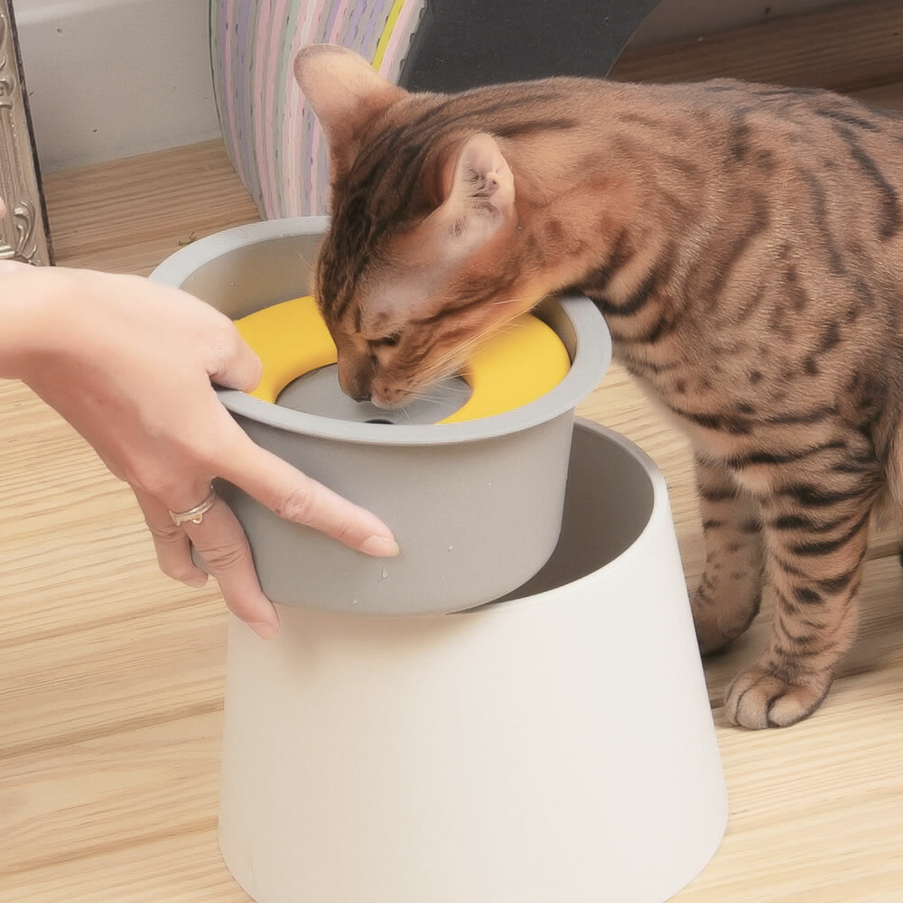 韓國yogipet｜只喝乾淨水的碗