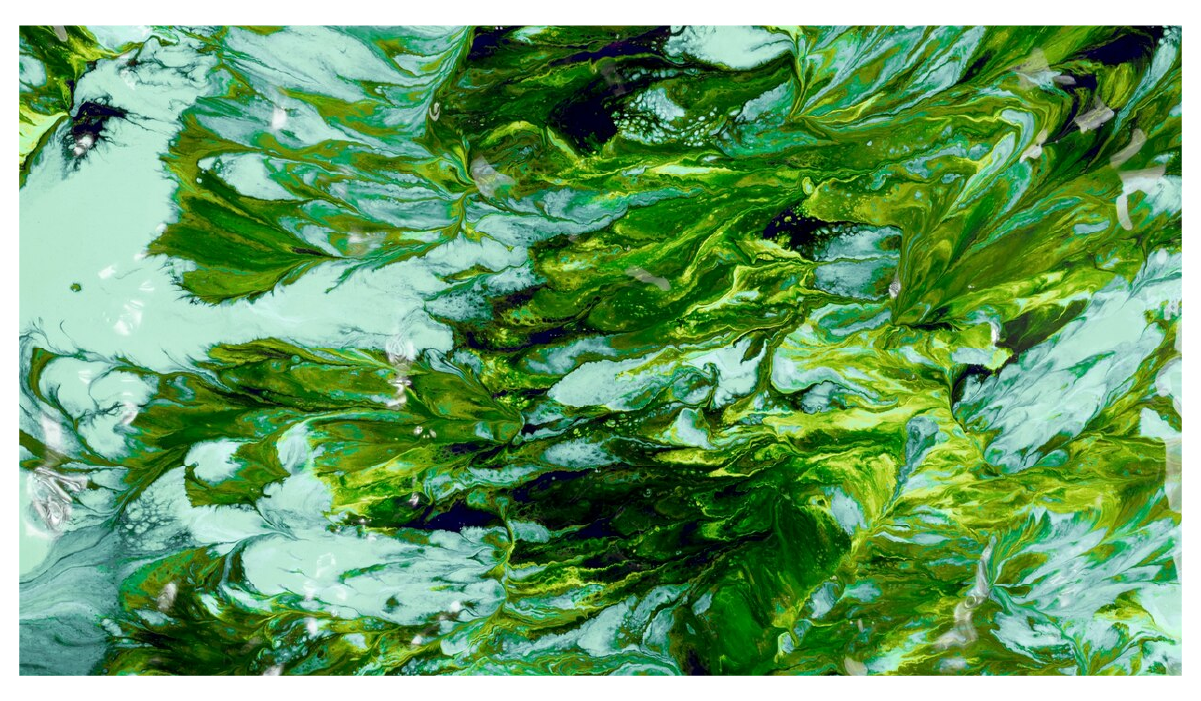 為什麼要吃海藻鈣？