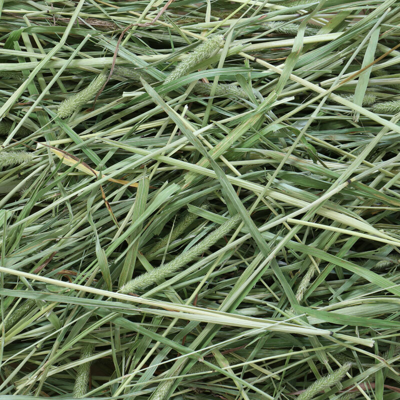 Wooly  高原早摘提摩西一番割 ( 香草混合) - 500g