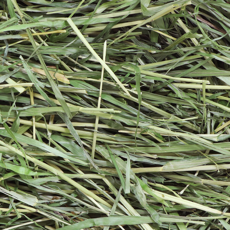 Wooly  高原早摘麥草 - 450g (2024年版)