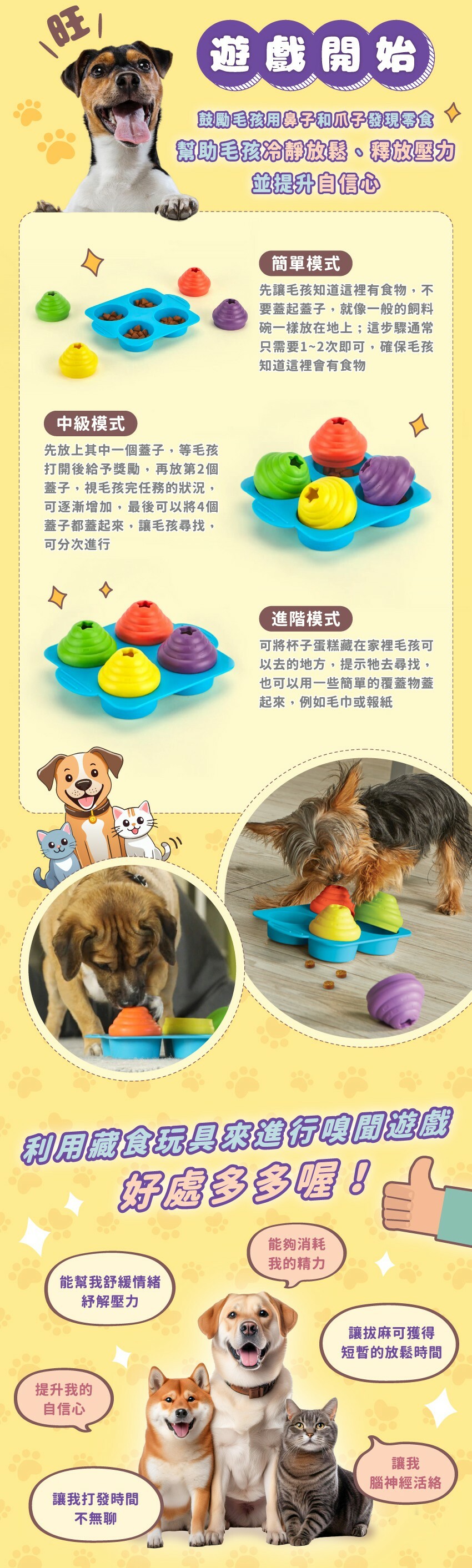 簡單模式:先讓毛孩知道這裡有食物,不要蓋起蓋子。中級模式:先放上其中一個蓋子,等毛孩打開後給予獎勵,最後可以將4個蓋子都蓋起來,讓毛孩尋找。進階模式:可將杯子蛋糕藏在家裡毛孩可以去的地方,提示牠去尋找,也可以用一些簡單的覆蓋物蓋起來,例如毛巾或報紙