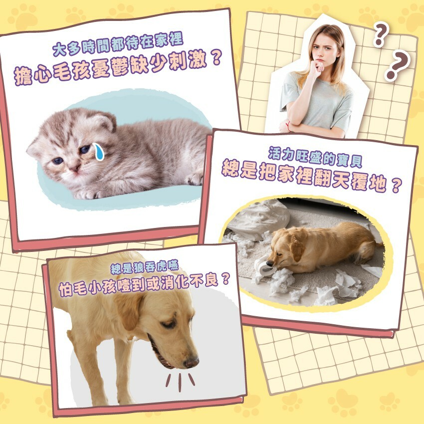 大多時間都待在家裡，擔心毛孩憂鬱缺少刺激?活力旺盛的寶貝，總是把家裡翻天覆地?總是狼吞虎嚥，怕毛小孩噎到或消化不良?