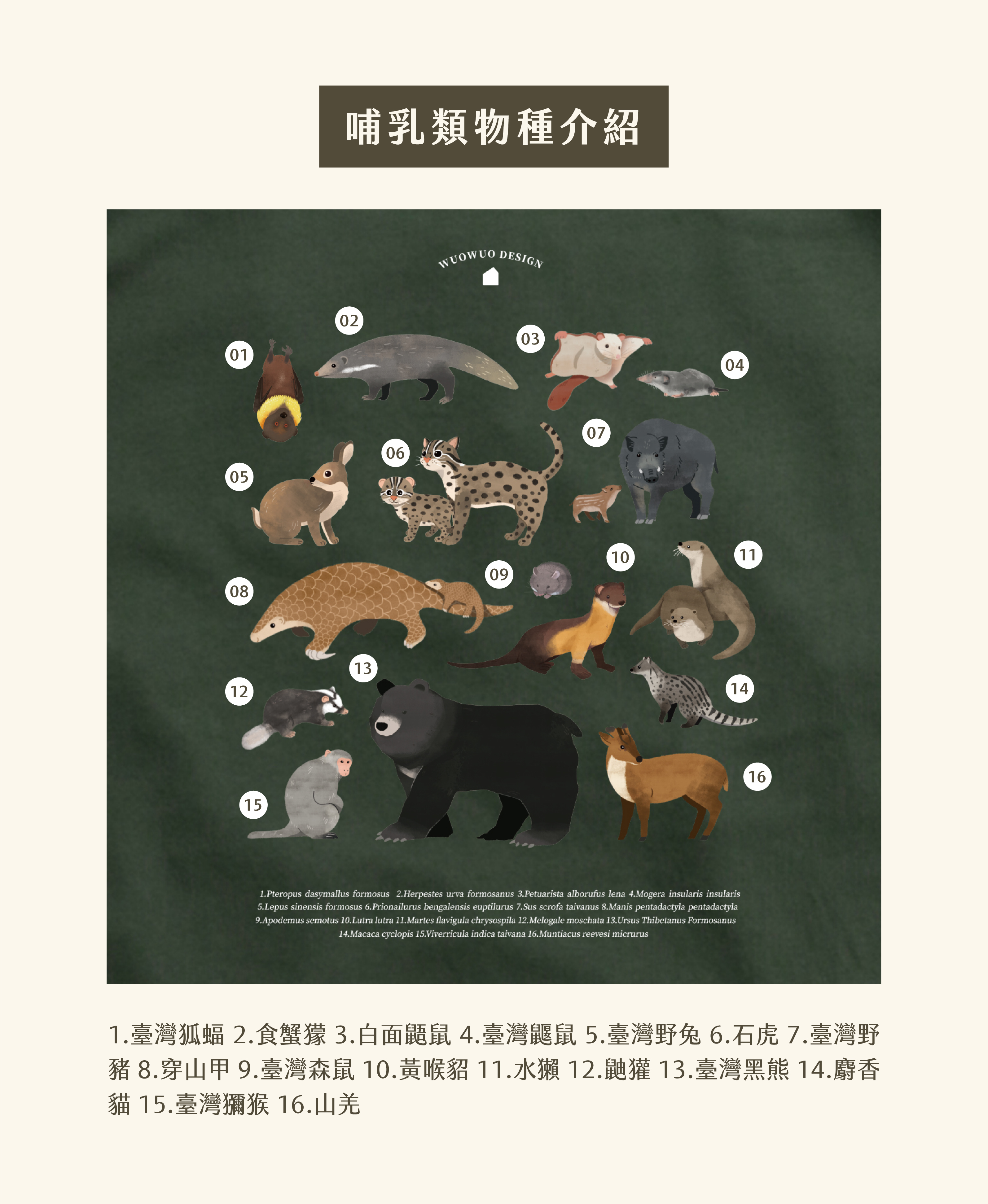 海棲哺乳類大全 海洋哺乳動物- 維基百科，自由的百科全書