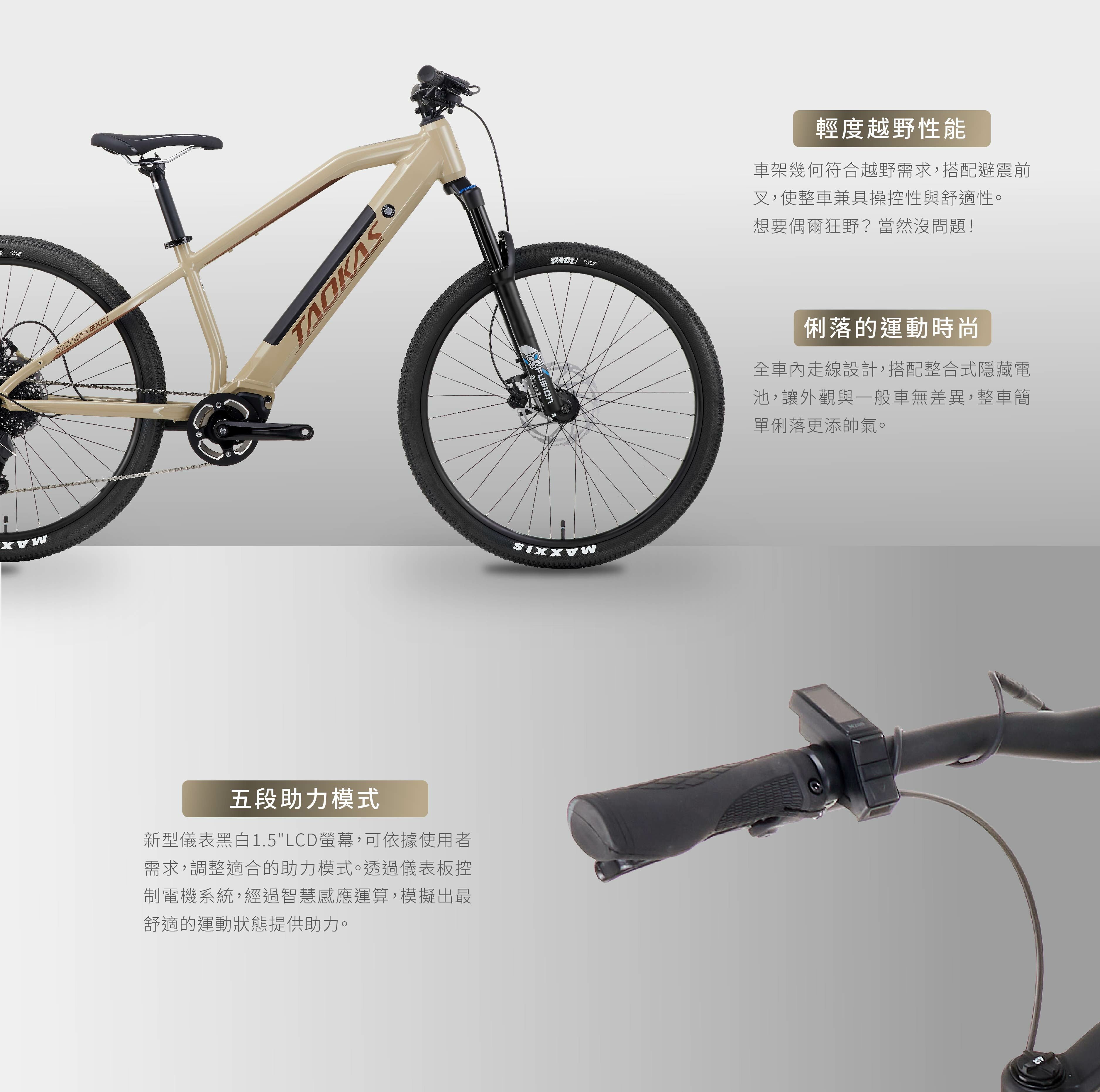 TAOKAS 道卡斯 ACTION EXC1 電輔登山車/尊爵黑