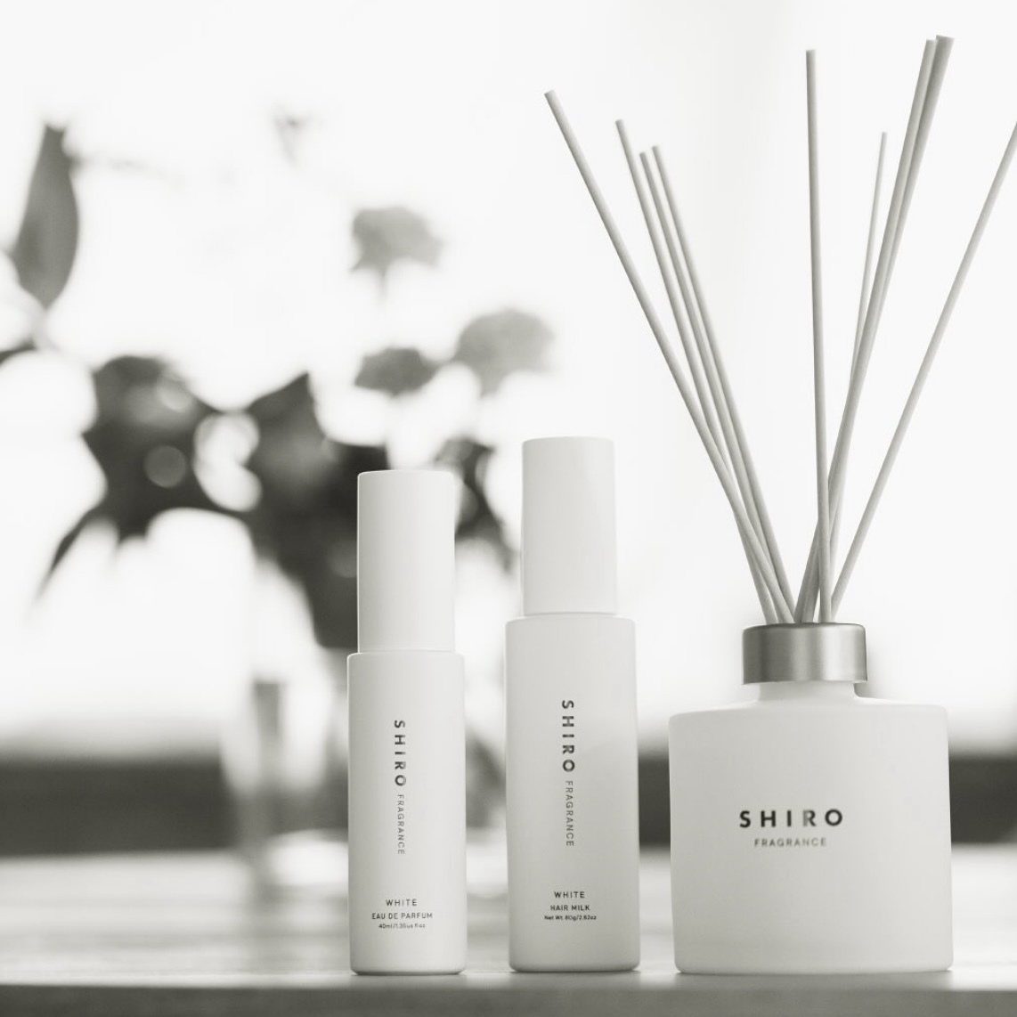 [限定] SHIRO Limited Fragrance WHITE Series