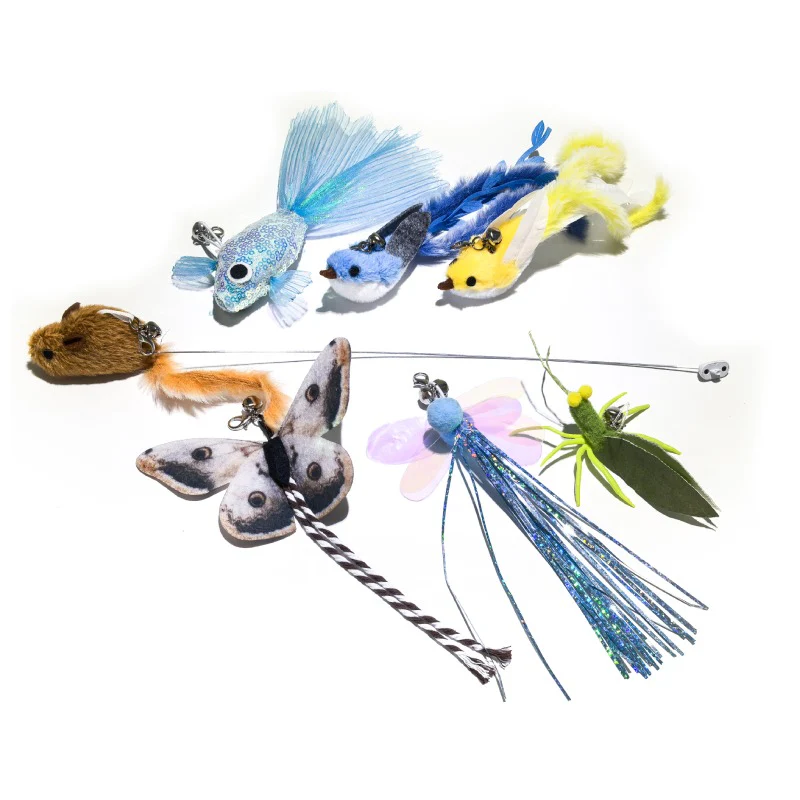 Enabot 寵物互動機械人逗貓配件