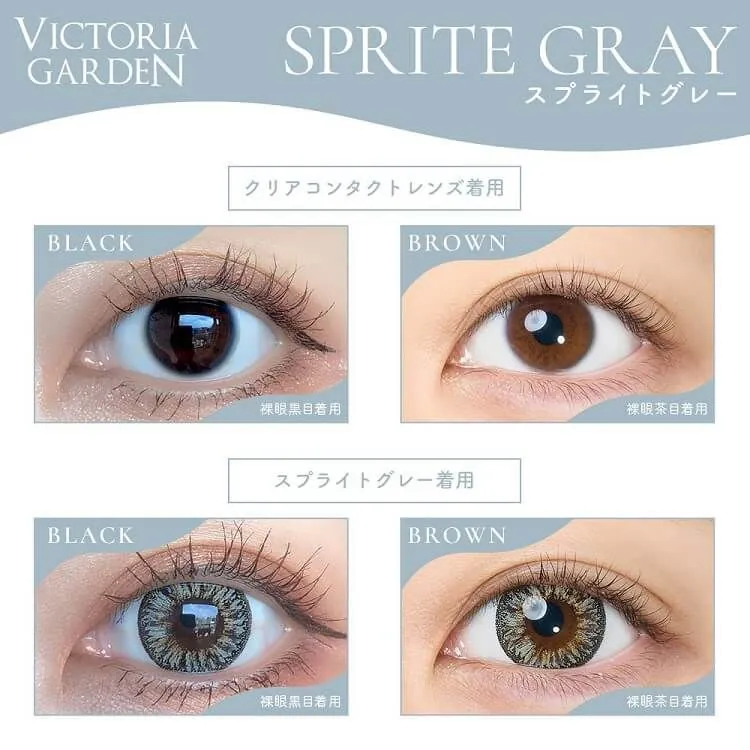 [日拋] Victoria Garden 1 Day Sprite Gray｜隱形眼鏡｜每盒10片