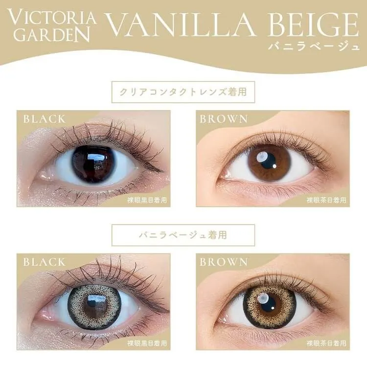 [日拋] Victoria Garden 1 Day Vanilla Beige｜隱形眼鏡｜每盒10片