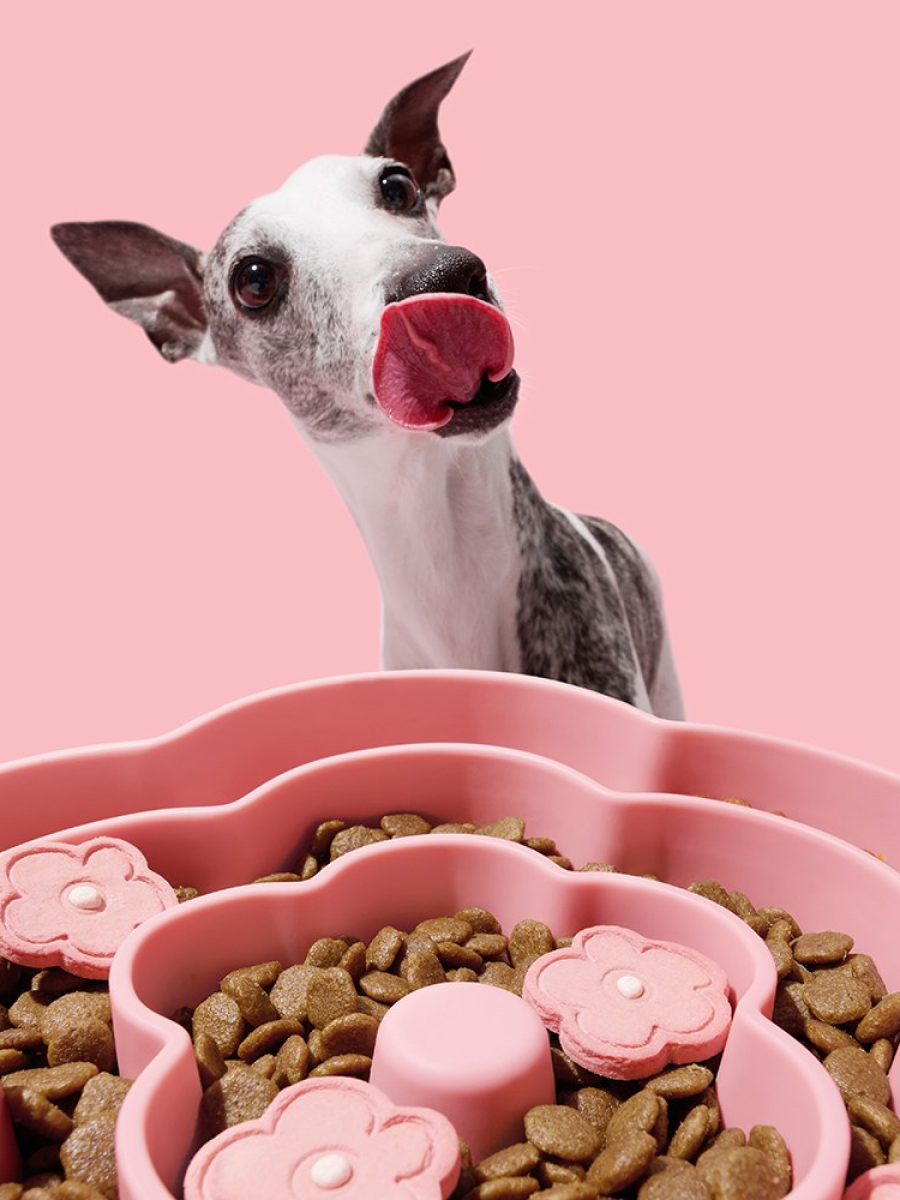 【VETRESKA】寵物矽膠慢食碗｜花花