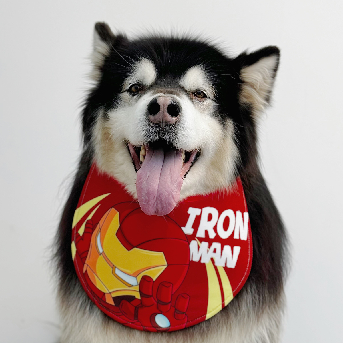 宠物口水巾 卡扣款 可自立 MARVEL系列 钢铁侠 蜘蛛侠