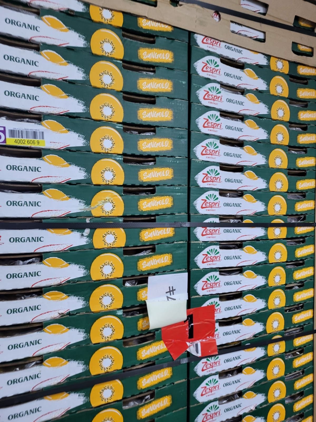 Bless fruit -紐西蘭有機金奇異果