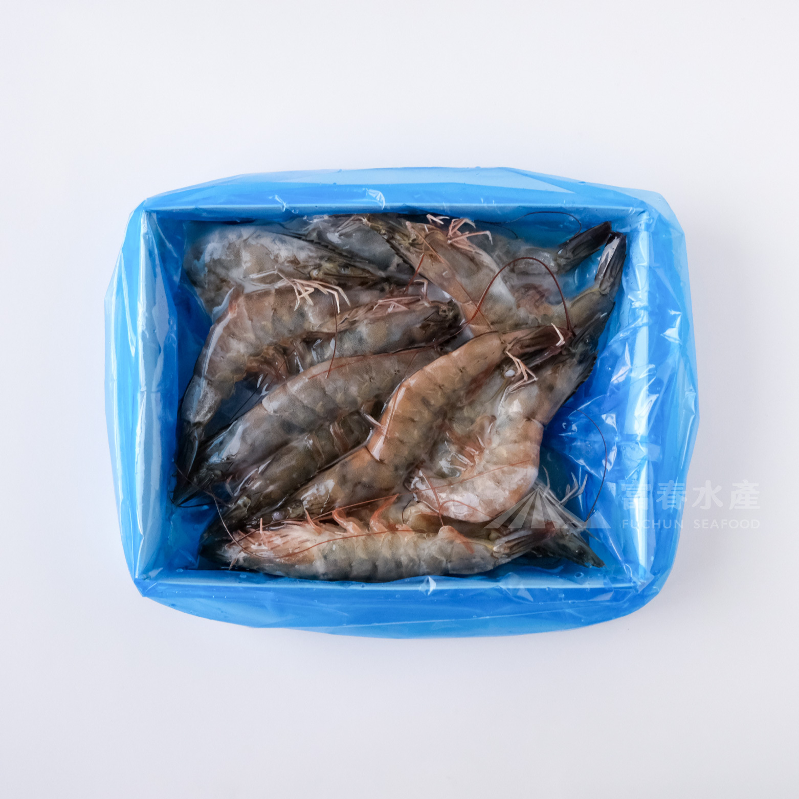 【生凍白蝦-大】