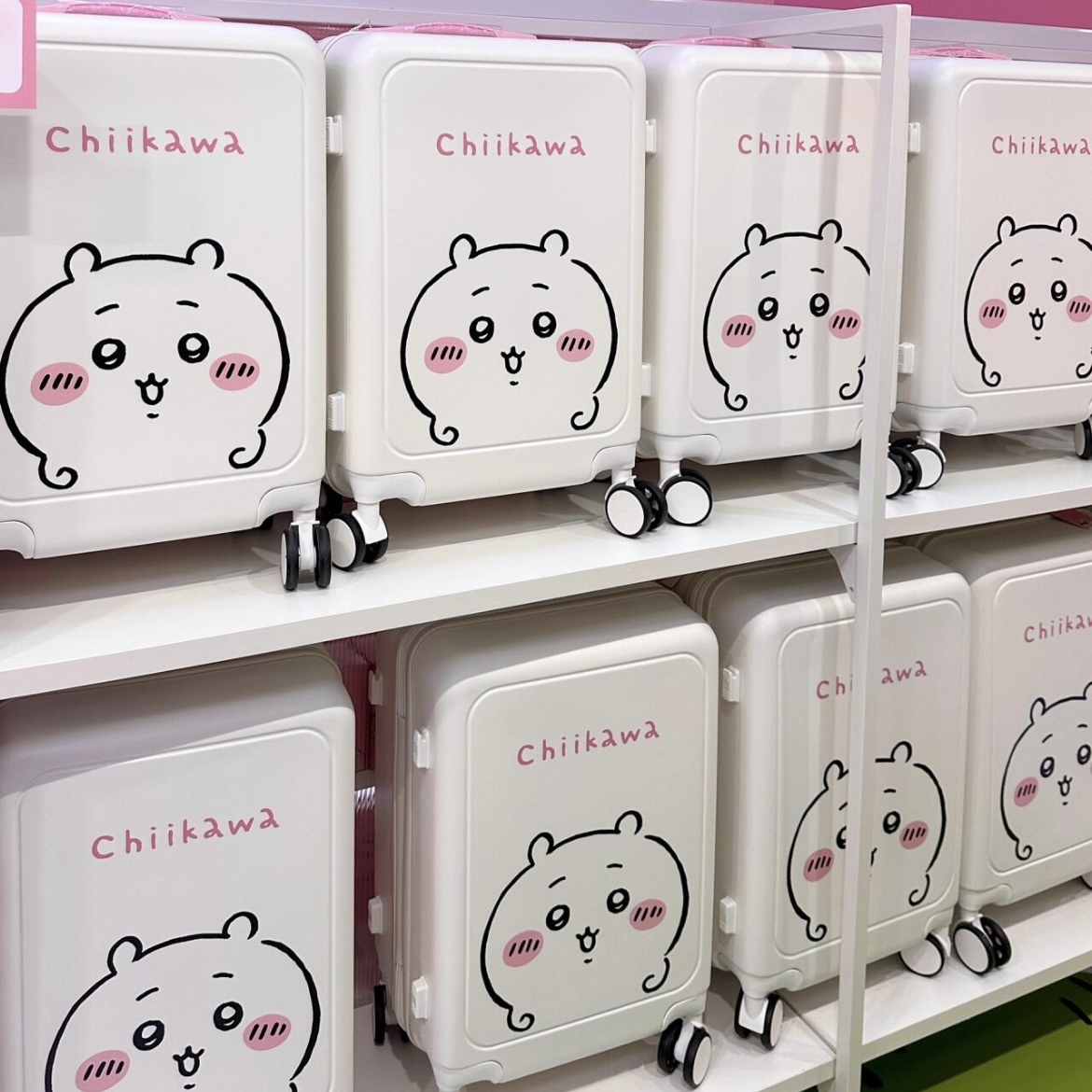 <正版授權>吉伊卡哇Chiikawa 行李箱 手提箱 小八貓 吉伊 烏薩奇