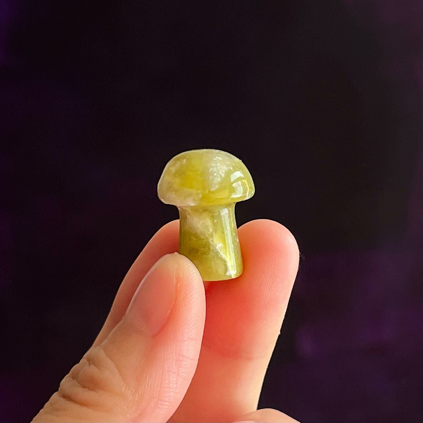 [原石] 蛇紋石 小蘑菇